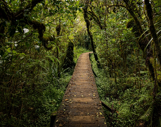 SANCTUAIRE ÉCOLOGIQUE ENTRE TERRE ET MER
