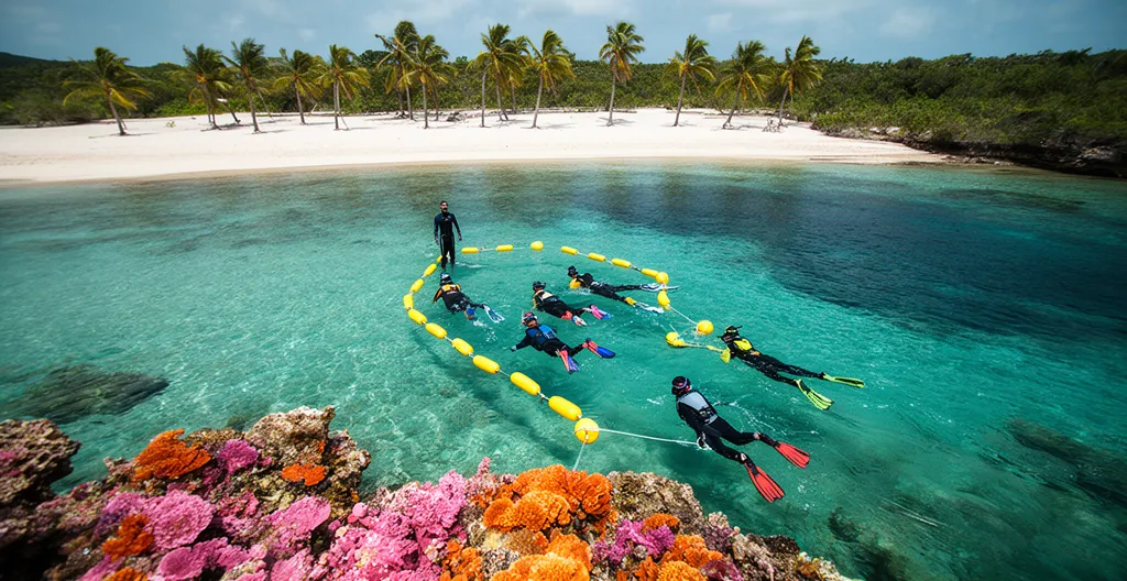 Exploration guidée du sentier sous-marin de l'Ermitage avec guide et groupe de visiteurs dans le lagon turquoise